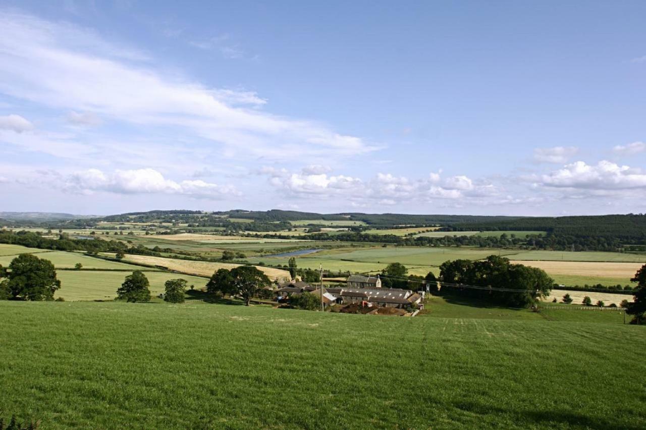 Anick Grange Farm B&B Hexham Exterior photo